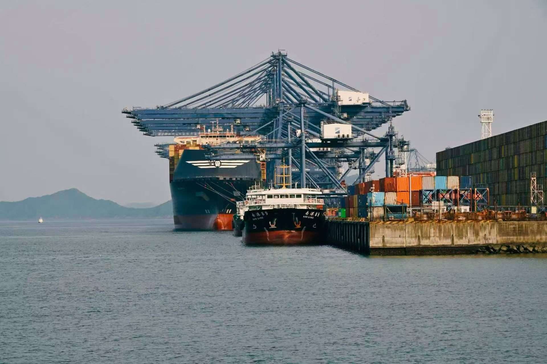 Shipping & logistics — export-ready containers at the port